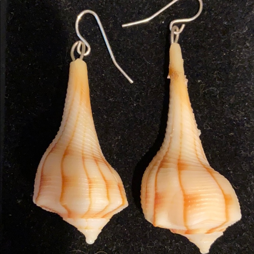 Hand Made SeaShell Earrings